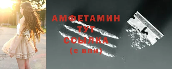 дмт Богданович