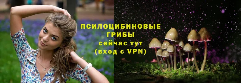 Псилоцибиновые грибы Magic Shrooms  купить  цена  Рассказово 